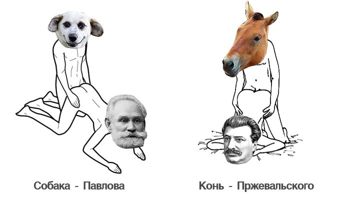 кто кого