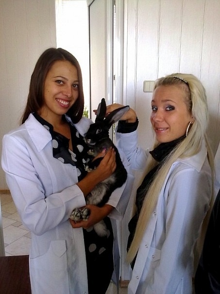 Вестник соцсетей