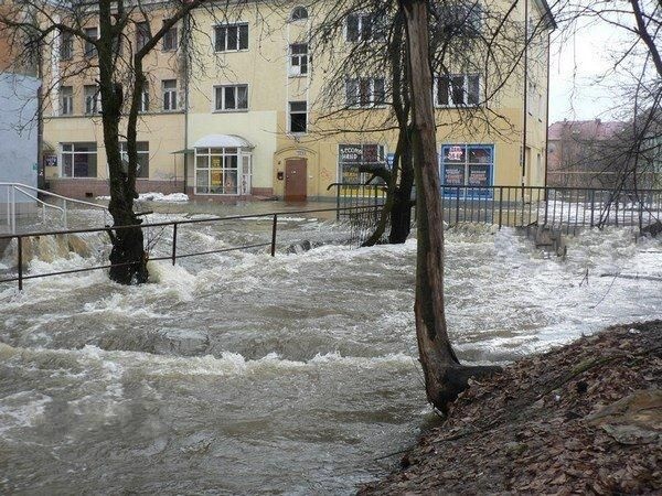 В Калининграде внезапно наступила весна
