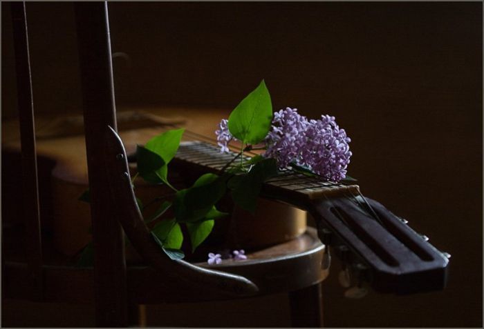 Назад в прошлое